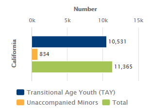 Homeless Youth Point-in-Time